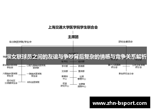 澳女联球员之间的友谊与争吵背后复杂的情感与竞争关系解析
