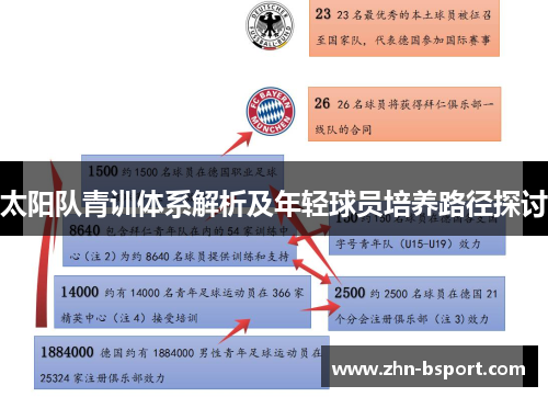 太阳队青训体系解析及年轻球员培养路径探讨