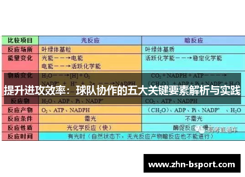 提升进攻效率：球队协作的五大关键要素解析与实践