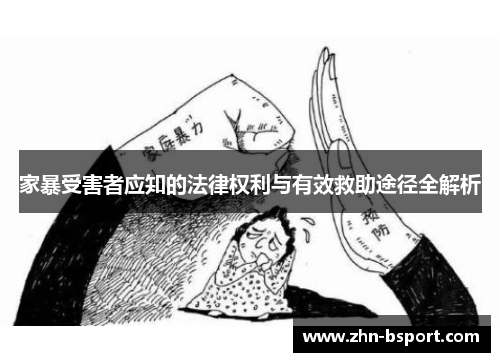 家暴受害者应知的法律权利与有效救助途径全解析