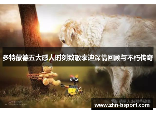 多特蒙德五大感人时刻致敬泰迪深情回顾与不朽传奇