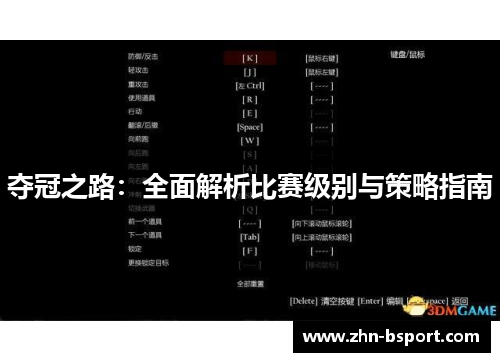 夺冠之路：全面解析比赛级别与策略指南