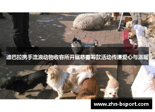 迪巴拉携手流浪动物收容所开展慈善筹款活动传递爱心与温暖