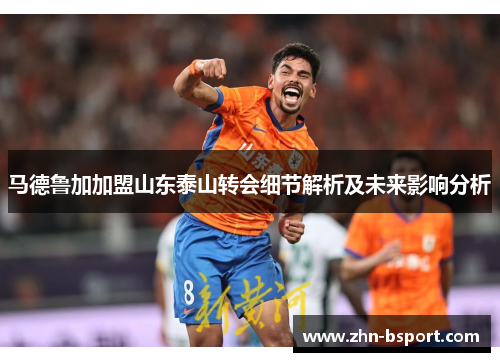 马德鲁加加盟山东泰山转会细节解析及未来影响分析