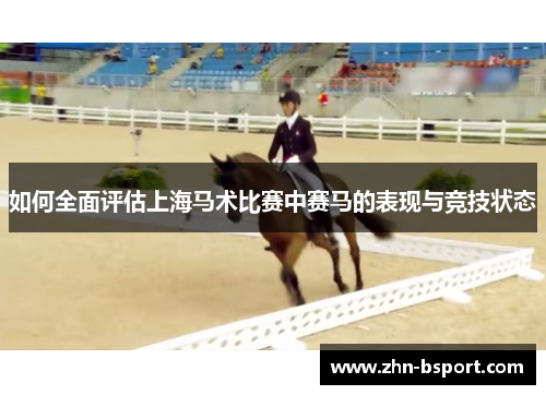 如何全面评估上海马术比赛中赛马的表现与竞技状态 如何全面评估上海马术比赛中赛马的表现与竞技状态