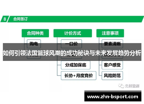 如何引领法国篮球风潮的成功秘诀与未来发展趋势分析