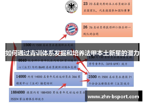 如何通过青训体系发掘和培养法甲本土新星的潜力
